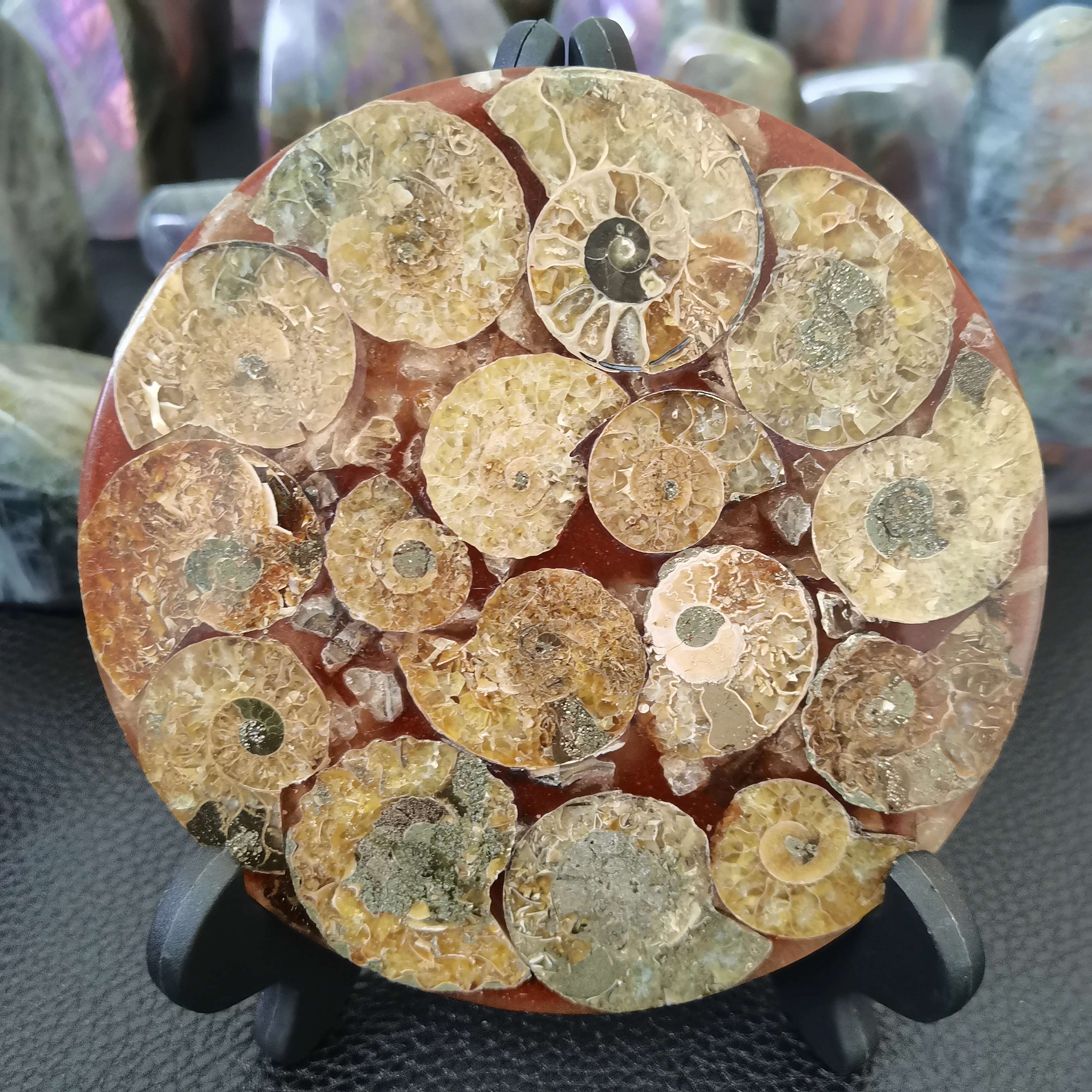 11-12cm Beautiful Ammonite Fossil Slice Plate MADAGASCAR FOSSIL SPECIMEN HEALING Fashion Home Office Home Decor+bracket