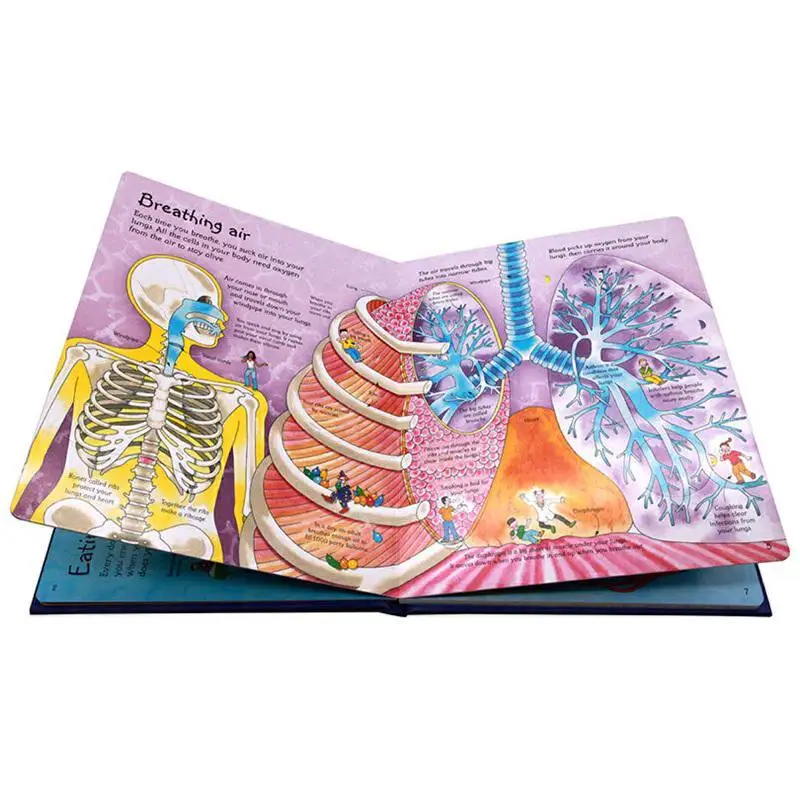 English original Usborne See Inside Your Body Look inside to reveal the secrets of the human body