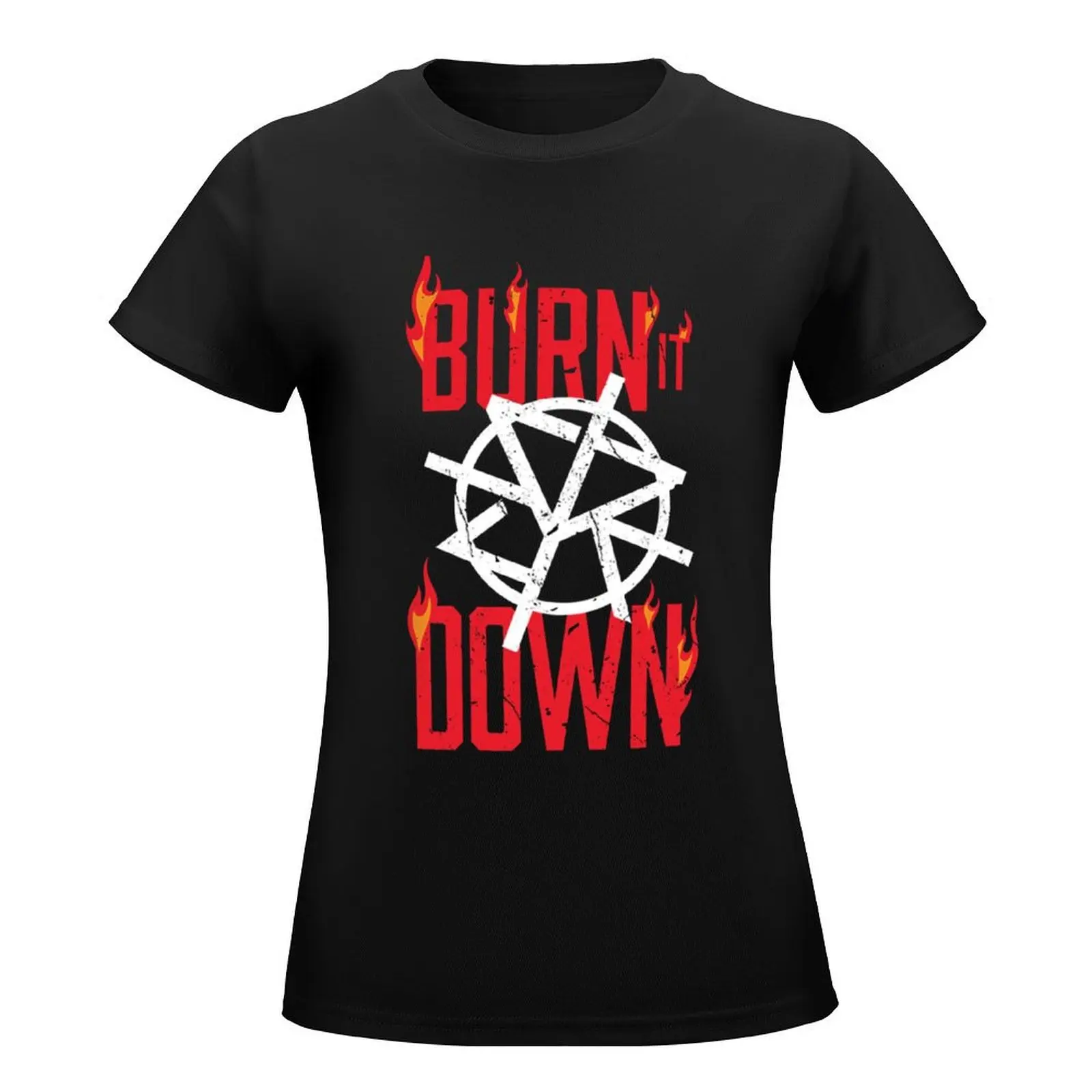 Seth Rollins Burn It Down T-Shirt cute clothes Aesthetic clothing oversized graphics rock and roll t shirts for Women