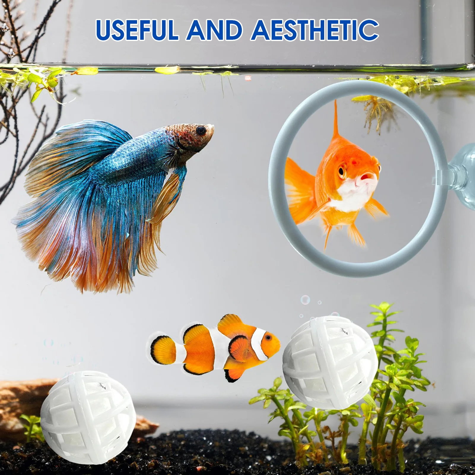 

Набор упражнений для рыбы Betta и фильтрующих шариков Тренировка Betta с присоской и нитрифицирующим шариком для аквариума с черепахой и маленькой рыбой
