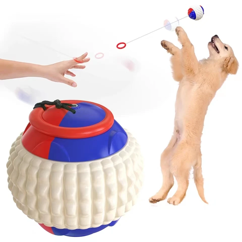 

Stretchable Elastic Ring Dog Chew Toy with Tennis Ball and Catapult for Interactive Play and Puzzle Training