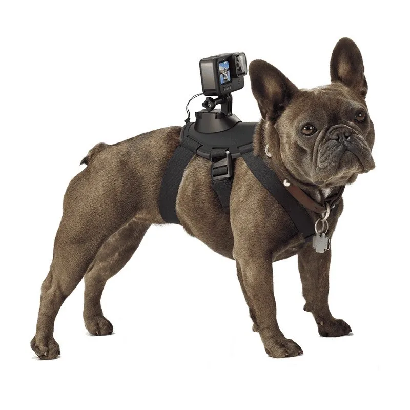 Adjustable Pet Harness for GoPro Fetch, Dog Cat Chest Belt Back Mount, Sports Camera POV Recording Strap