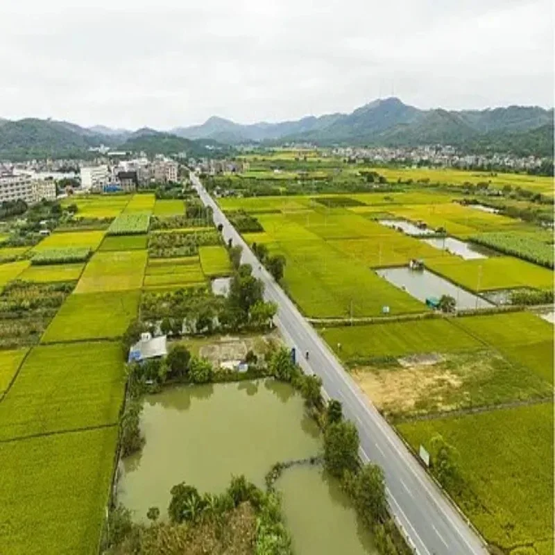 

Полетный контроллер HGLRC SPECTER 40 AIO MPU6000 F722 Bluejay 96K 40A 4-в-1 ESC 25.5X25.5мм 2-6S для FPV-дронов для фристайла