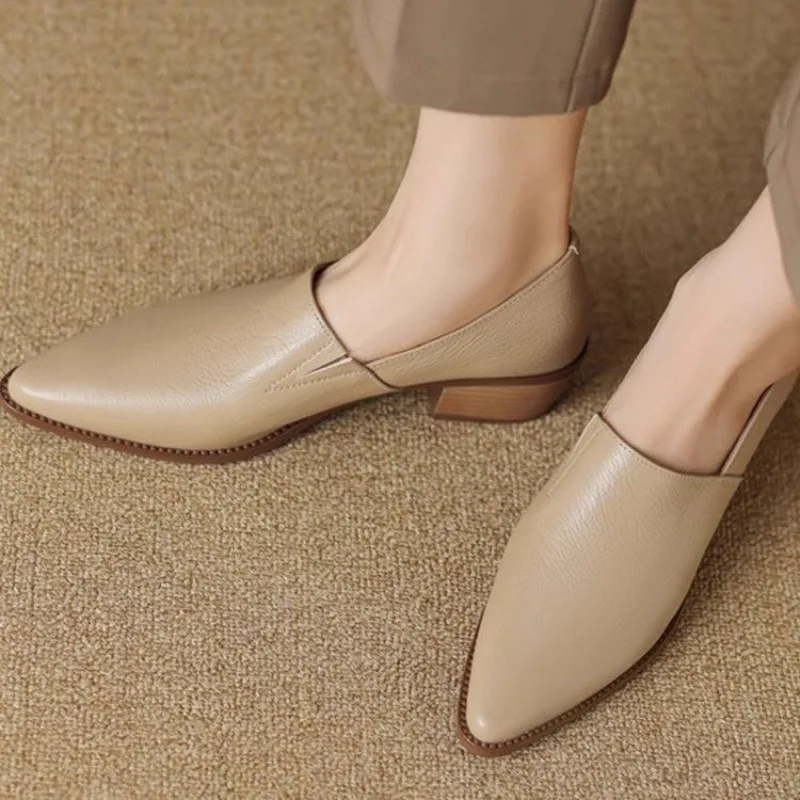 sapatos-retro-de-bico-fino-para-mulheres-na-primavera-de-2025-novo-estilo-com-salto-grosso-e-medio-sapatos-casuais-de-couro-pequenos