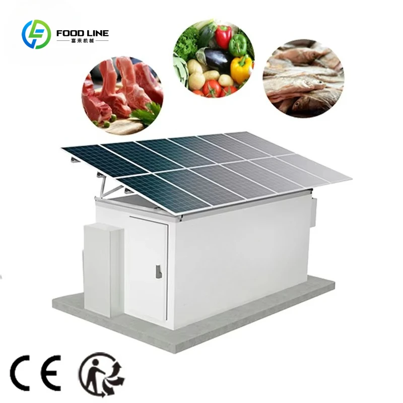 

Customized Solar Cold Room Cold Room Storage Solar Solar Powered Freezer Room