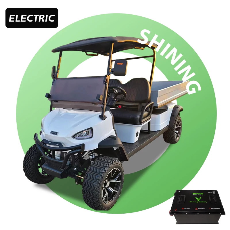 For Club Car EZGO 72V 5KW Lithium 4WD 2 Seater Utility Electric Golf Cart Buggy Cargo Bed Assembly