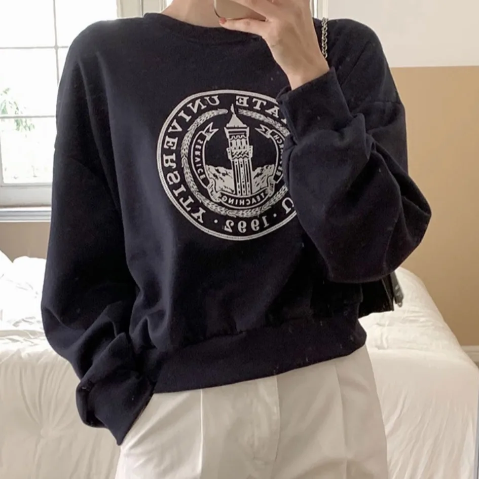 Chic Autumn Winter Fce Lined Thiened Letter Print round Ne Sweatirt Women's Vintage Design Anti-Aging Quali