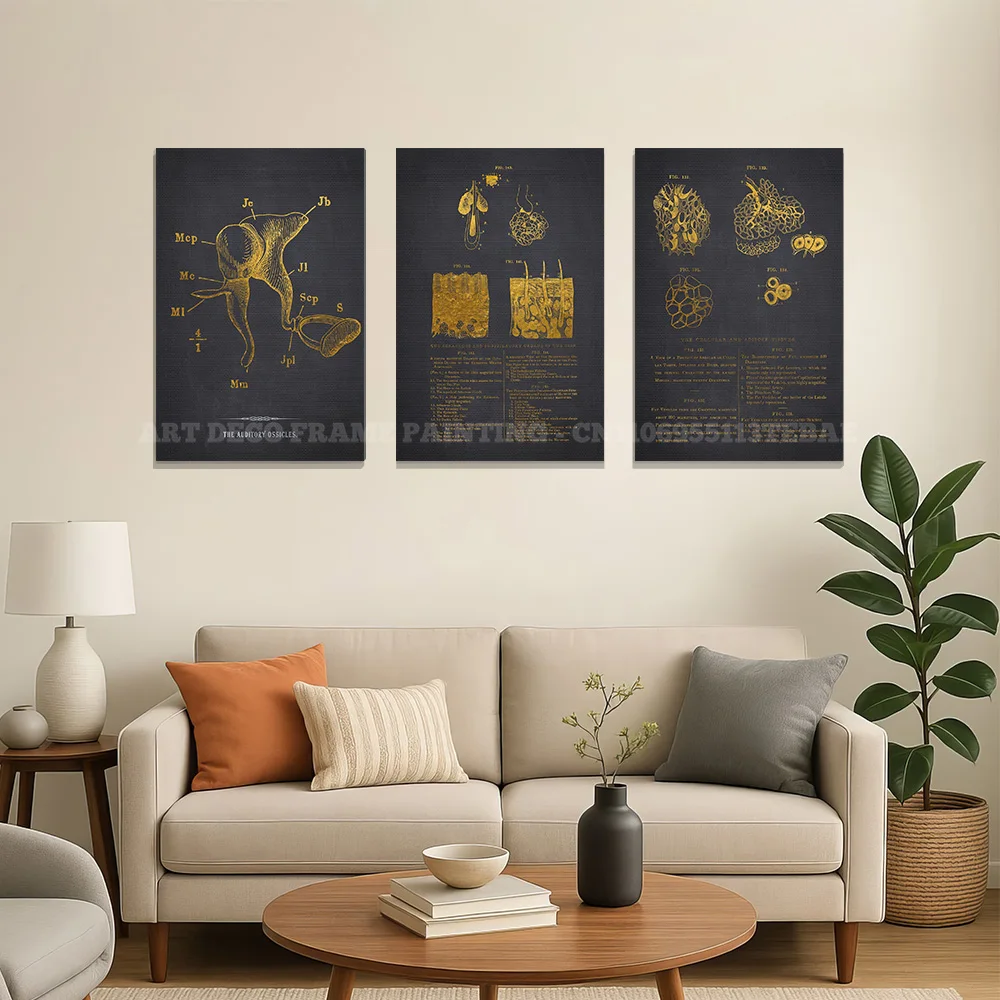 Vintage Anatomy Art Print Canvas Wall Decor Respiratory Foetus Utero Knee Tarsal Shoulder Bathroom Restroom Modern Room Decor
