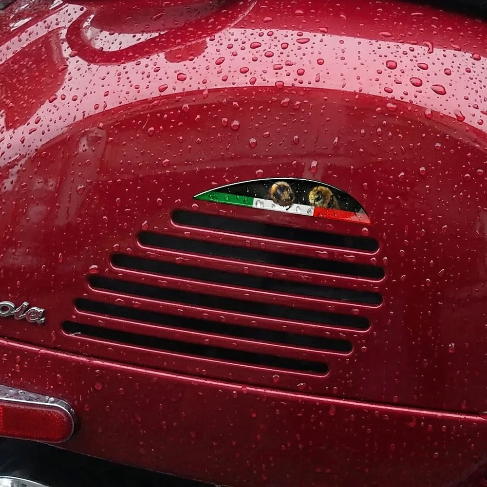 

Motorcycle Decal for PIAGGIO VESPA GTV GTS 125 250 300 300ie Super