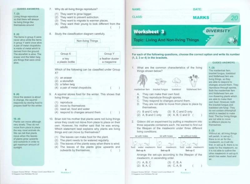 8 volumi di autentiche SAP Learning/conquering Science School Primary Grade 1-6 Versione di miglioramento di base dei libri di testo dell'inglese