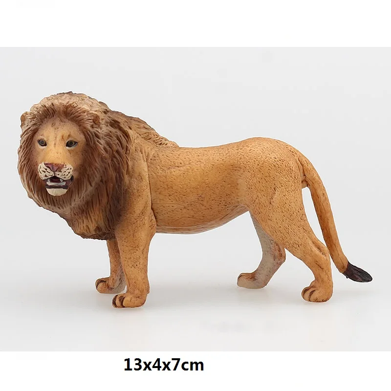 Simulation Animnal Lion Cognitive Wildlife Model Plastic Handicraft Teaching Tool home Decoration gift A0768