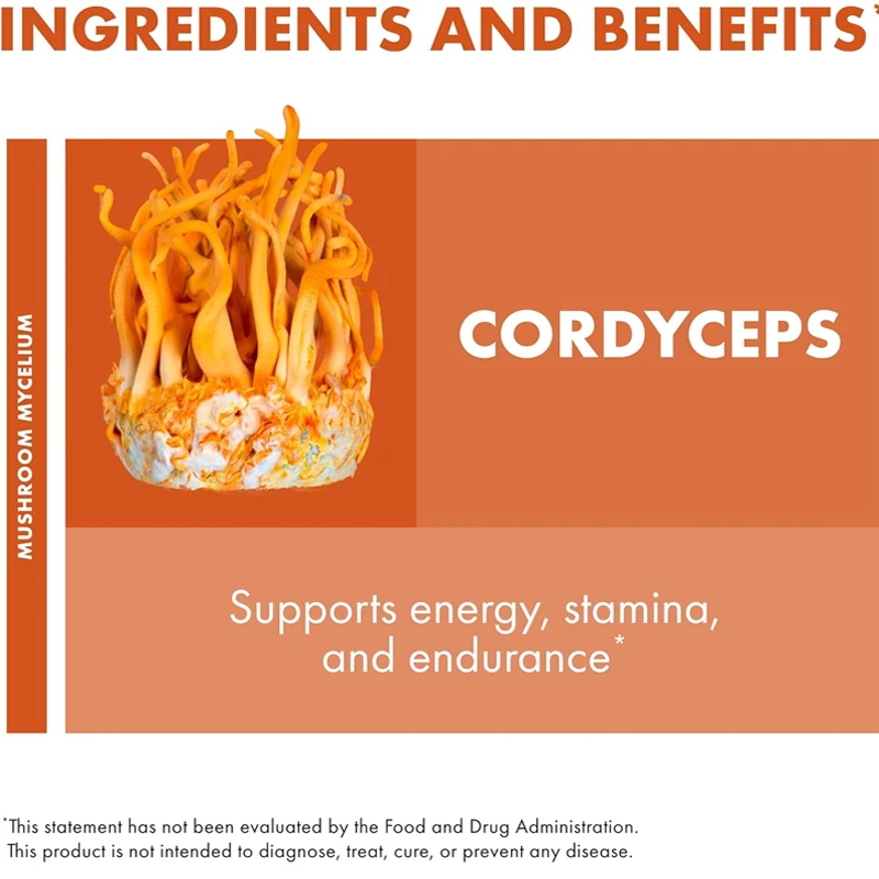 Cordyceps Capsules Immune & Energy Support Supplements Kidney Health Antioxidant 60 Capsules Vegetarian