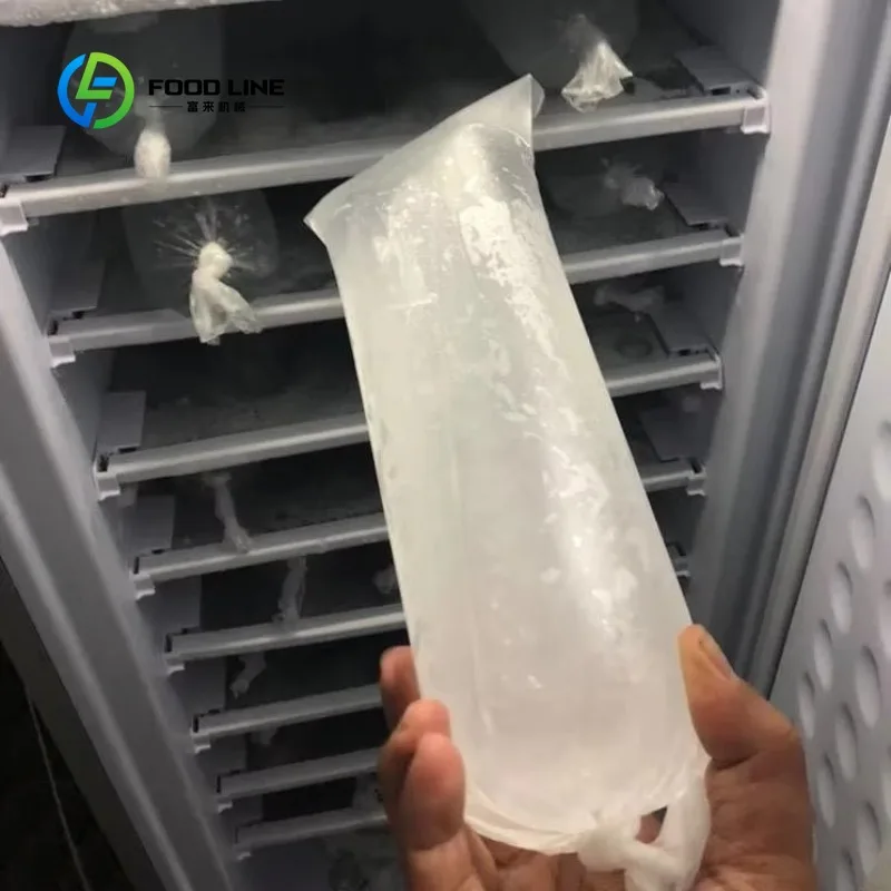 Customized Large 198L Commercial Solar Ice Machine, 12/24V DC AC Hybrid Power Ice Block Maker with 7/11 Layer Racks