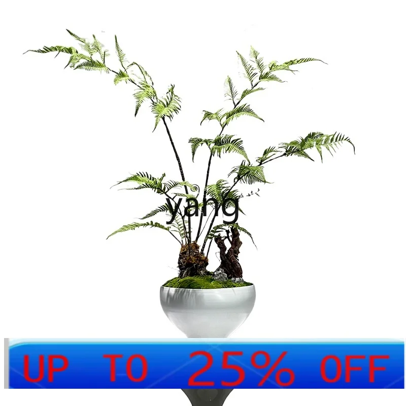 

LTT New Chinese-style simple artistic conception landscaping simulation green plant Zen tea room tea table model room