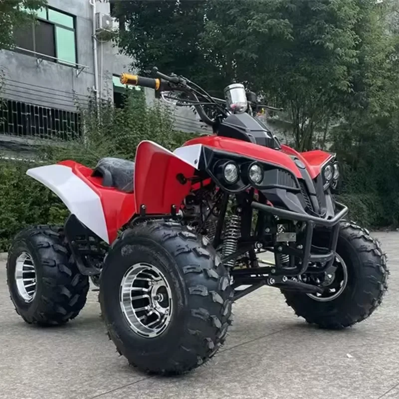 Chinese 110cc Petrol ATV Kids Mini 4-Wheel Buggy Off Road with Automatic Chain Drive Electric Start Lower Off Road Go Kart