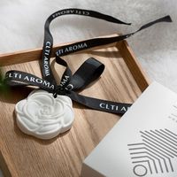Durable Easy Use Car Pendant Long-Lasting Elegant Wardrobe Deodorizer Aromatherapy Plaster Wax Tablet Car Decoration