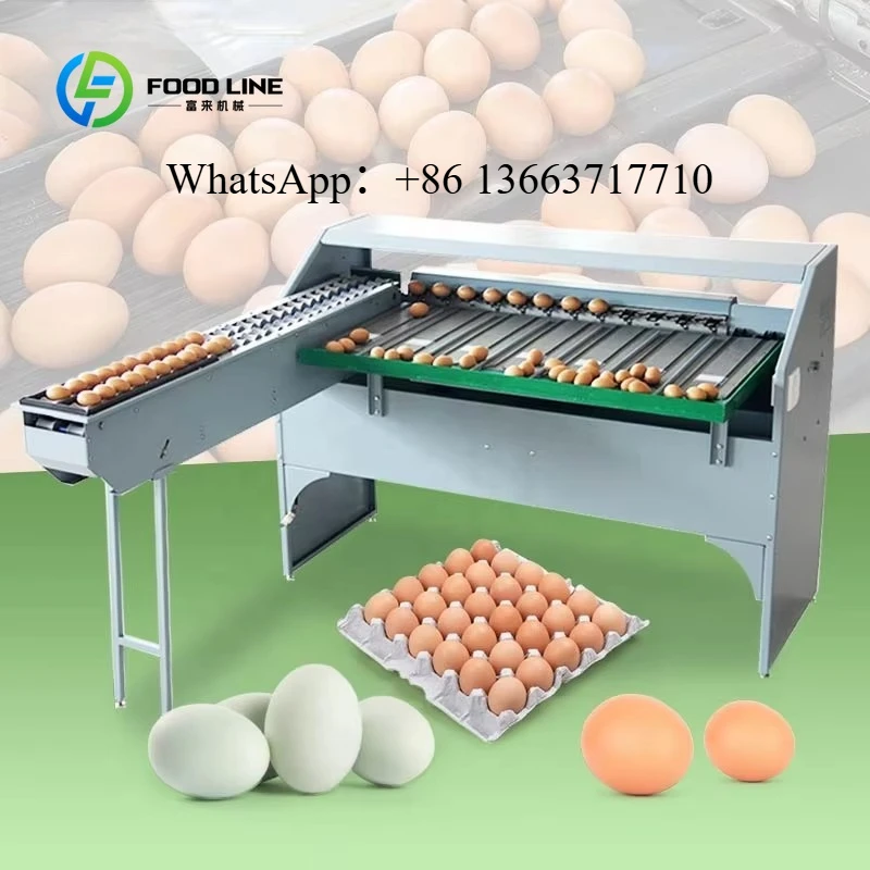 

Customized Automatic Small Egg Size Grader Sorter High Precision Weighing Sorting Egg Grading Machine for Sale with Best Price