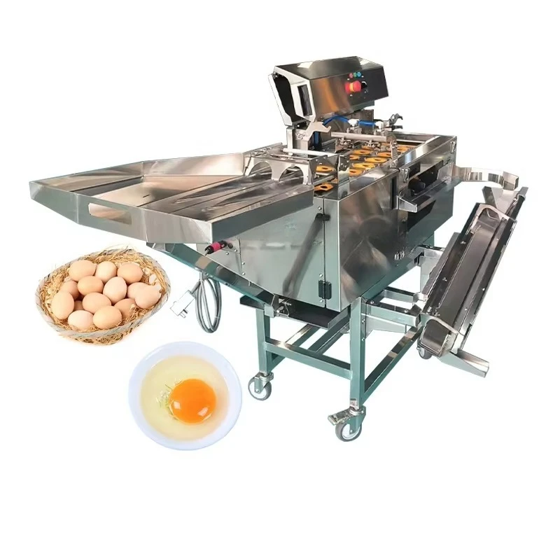 Complete Egg White and Yolk Powder Production Line / Egg Powder Spray Dryer / Egg Powder Making Machine Customized