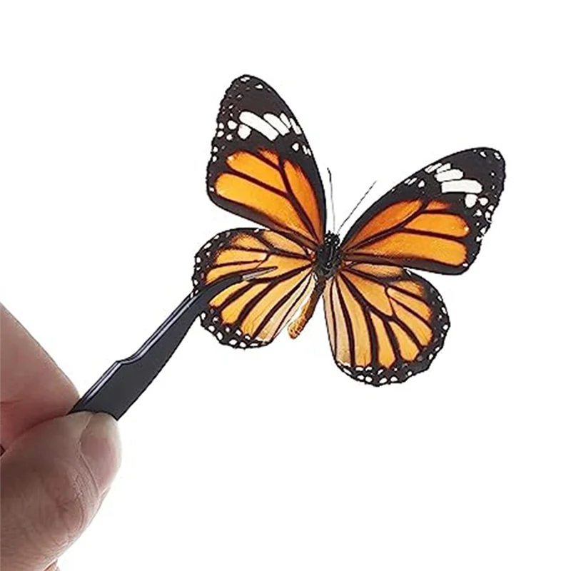 مجموعة أدوات صنع عينات الحشرات TA، دبابيس الحشرات، لوح تثبيت الحشرات، ورق الضغط على الأجنحة، ملاقط، مقص، علبة العرض