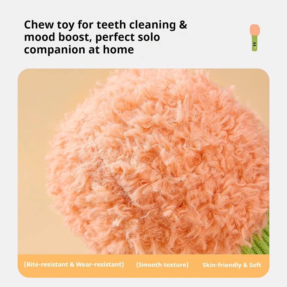 ألعاب قطط وكلاب تفاعلية، ميكرو - مراجعة Catnip Toys وسعره