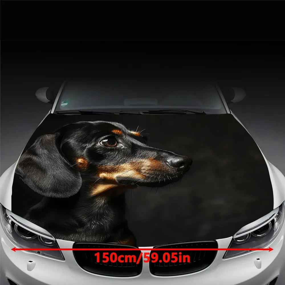 Dachshund Car Graphics Set - Customizable Options, Professional Quality