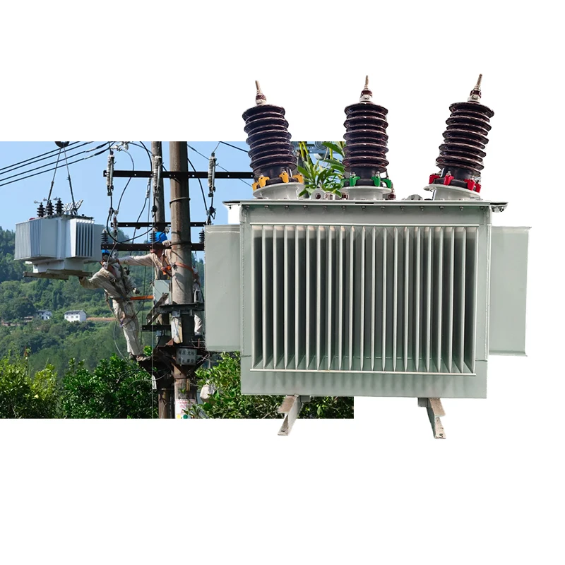 250kVA 400kVA Three Phase Distribution Transformer 11kV 0.4kV Oil Immersed Low Noise Fire Resistant Customized for Library