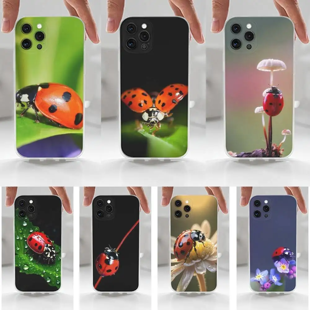 Funda de teléfono con forma de mariquita y insecto para iPhone 16,15,14,13,12,11 Plus,Pro,Max,XR,XS,X,7,8 Plus,SE,Mini, transparente, funda de silicona