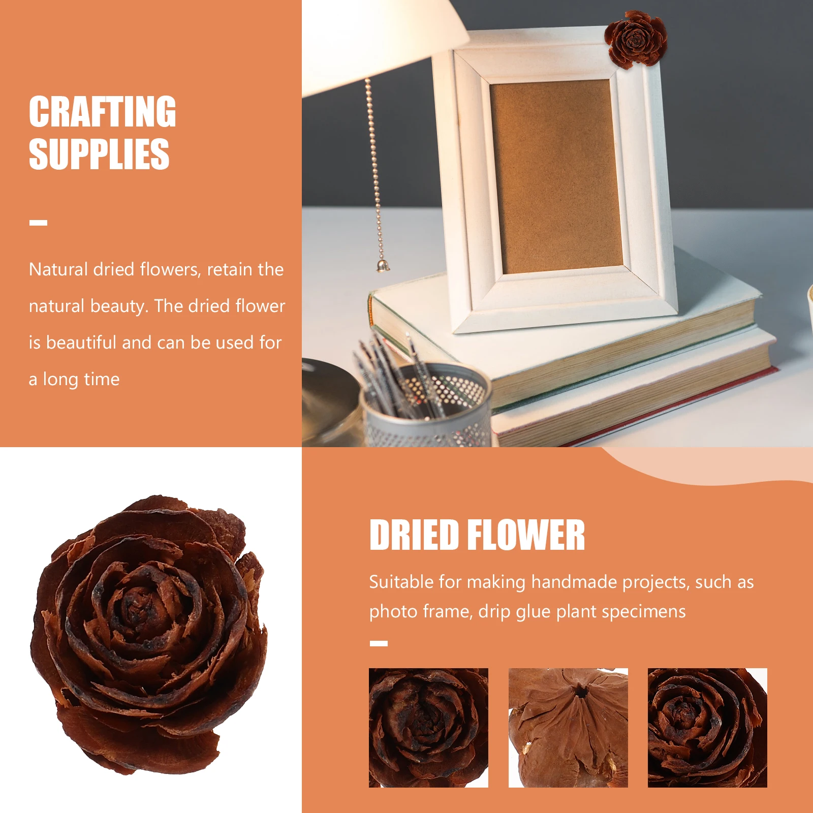 10 pezzi di fiori secchi campioni di fiori secchi naturali materiale per artigianato fai da te in resina arte fatta a mano decorazioni per piante campioni di materiali per la lavorazione