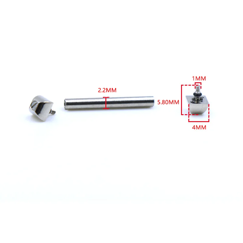 For Cartier PASHA Hat Screw Fine Steel Link Shaft Screw Rod Fixed Shaft Watch Accessories Watch Connector