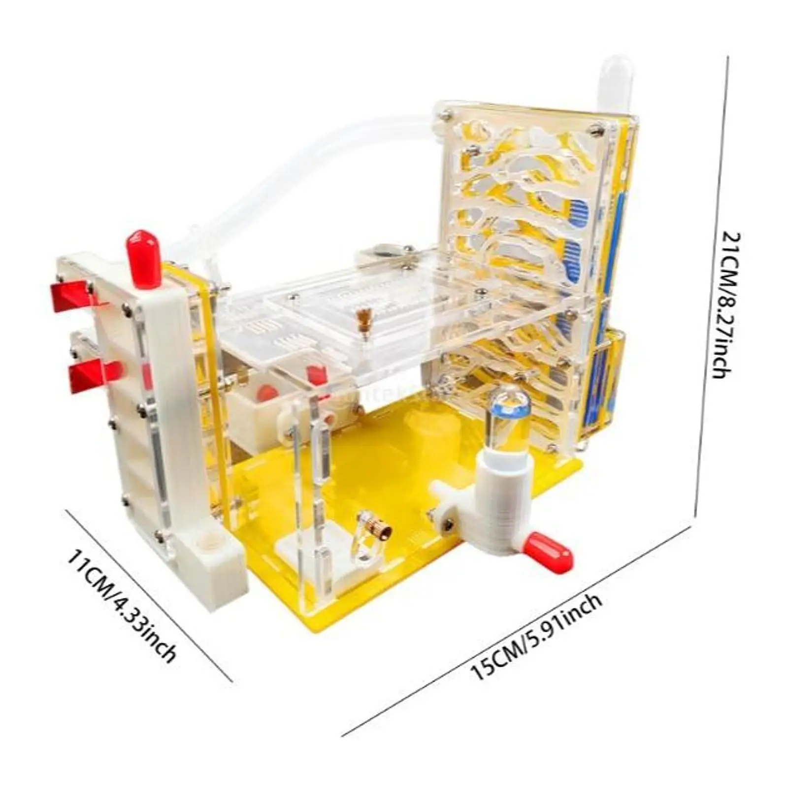DIY アリファームの巣 給餌エリア付き 観察教育 子供 大人 生息地 科学学習キット アリ観察ハウス ヴィラ