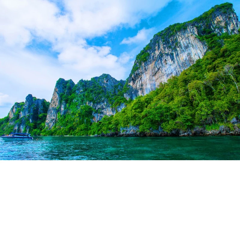 

Adjustable 5Pcs Sectional Front Spoiler Lip For Porsche Panamera 971 2016-2023 Front Bumper Splitter Car Exterior Sport Body Kit