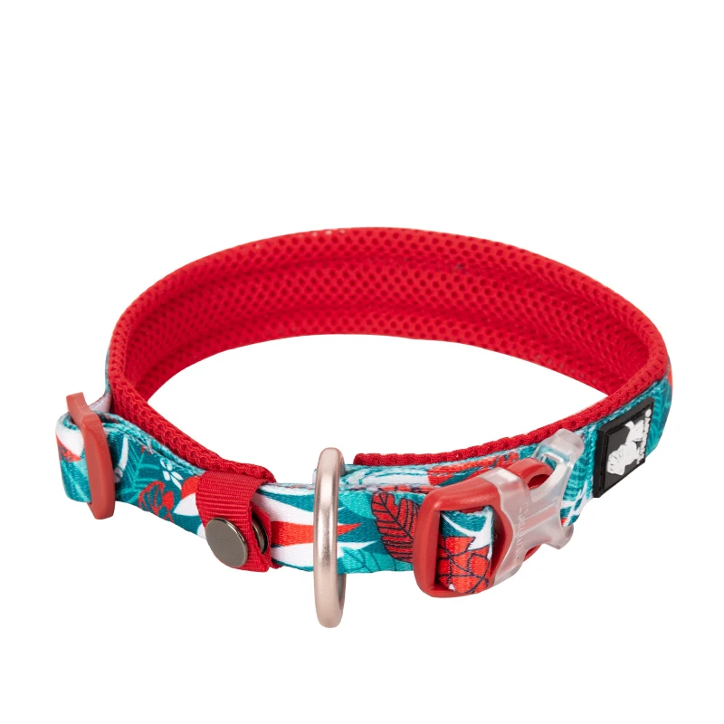 Winhyepet Dog Collar Traveling Walking Comfort Padded with Buckle Tactical Collar for Small Medium Large Dogs Pitbull TLC5273