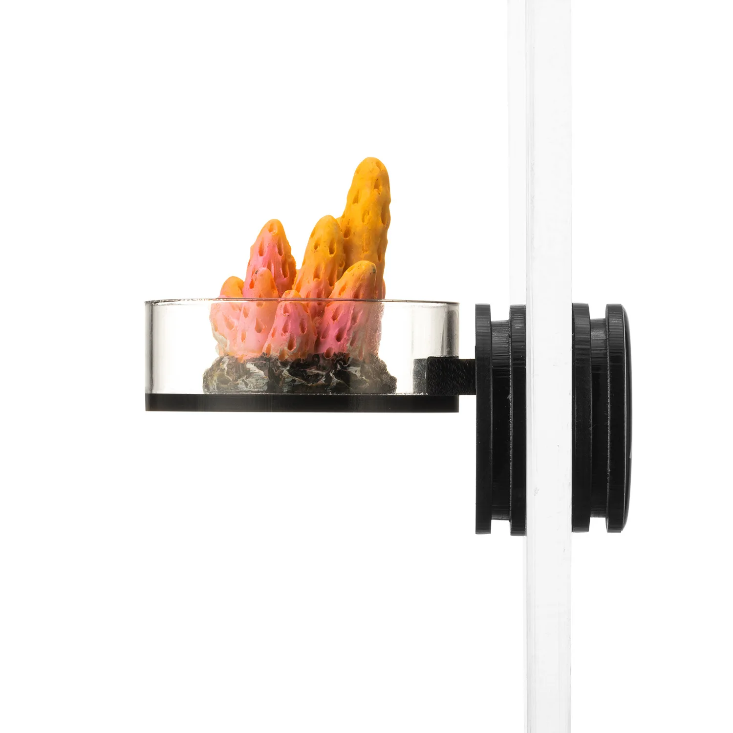 

Marine Sources 50mm Black Magnetic Coral Frag Rack - Strong Hold Floating Shelf for SPS Corals, Anti-Blow Aquarium Reef Tool