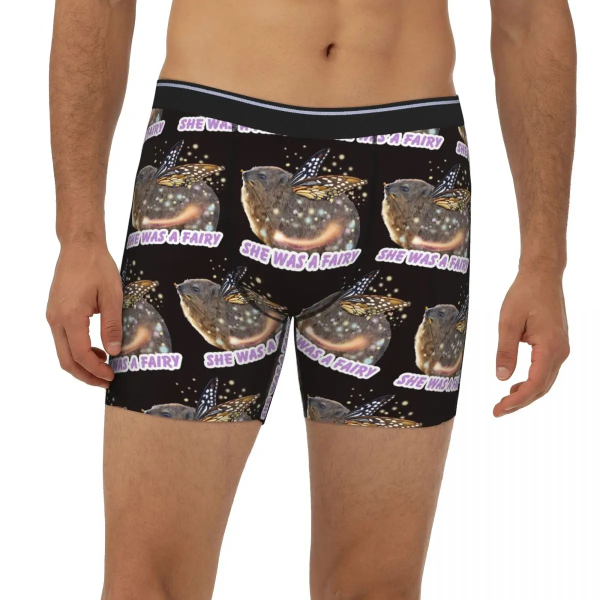 

Длинные трусы-боксеры Rock Hyrax Fairy, короткие мужские трусы, дышащее нижнее белье для мужчин, подарок бойфренду