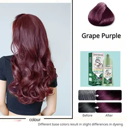 450ml Plant Bubble Hair Dye Shampoo Natural Black Purple Cover Gray White Hair Barber Shop Hair Color Cream краска для волос