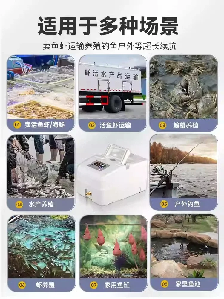 Fish Farming Oxygenator with Sales Tank Air Pump, Continuous Oxygen Supply Machine for Live Fish