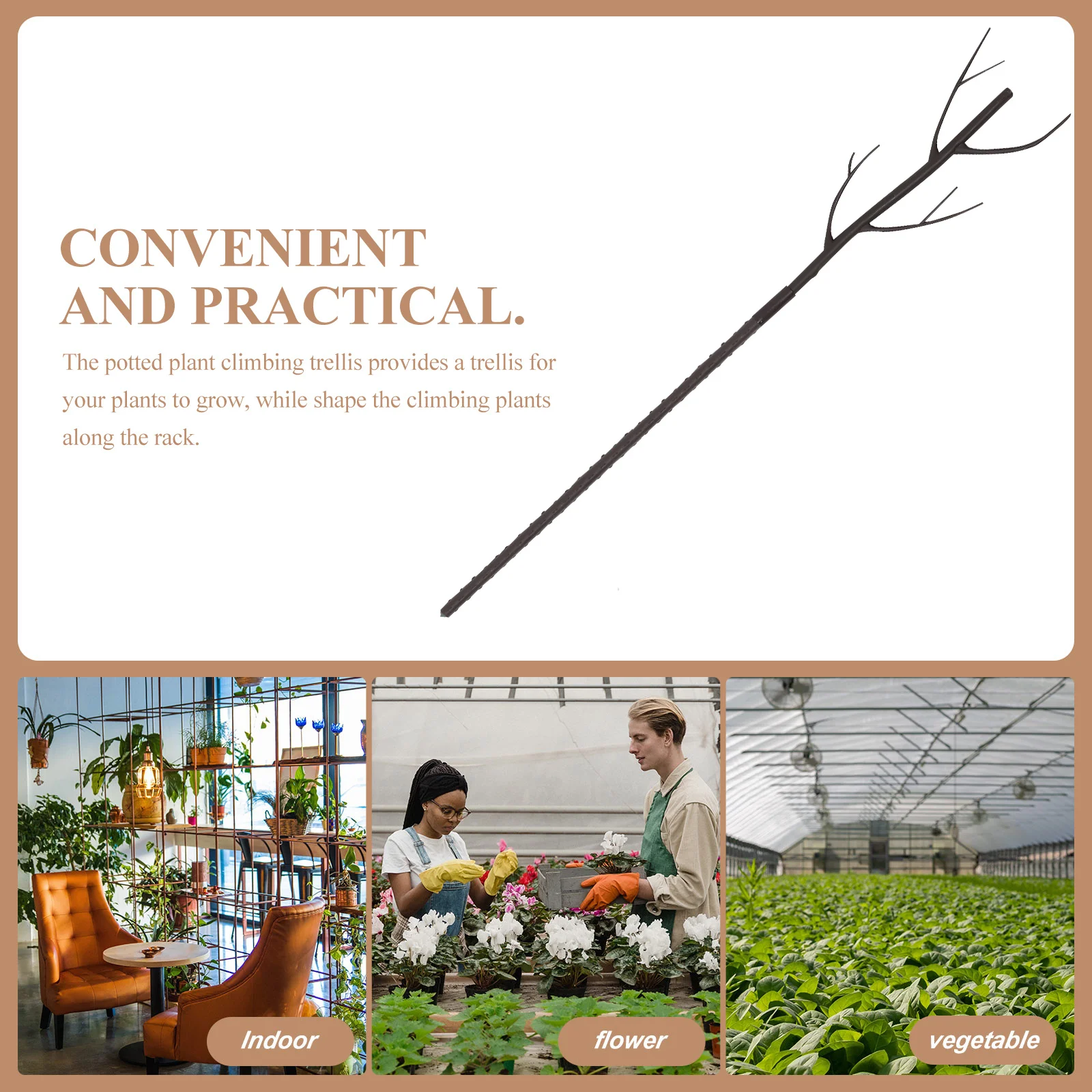 

5 set Plant Trellis For Climbing Plants Anti-Toppling Flower Support Garden Plant Stakes Potted Plants Holder Indoor Outdoor