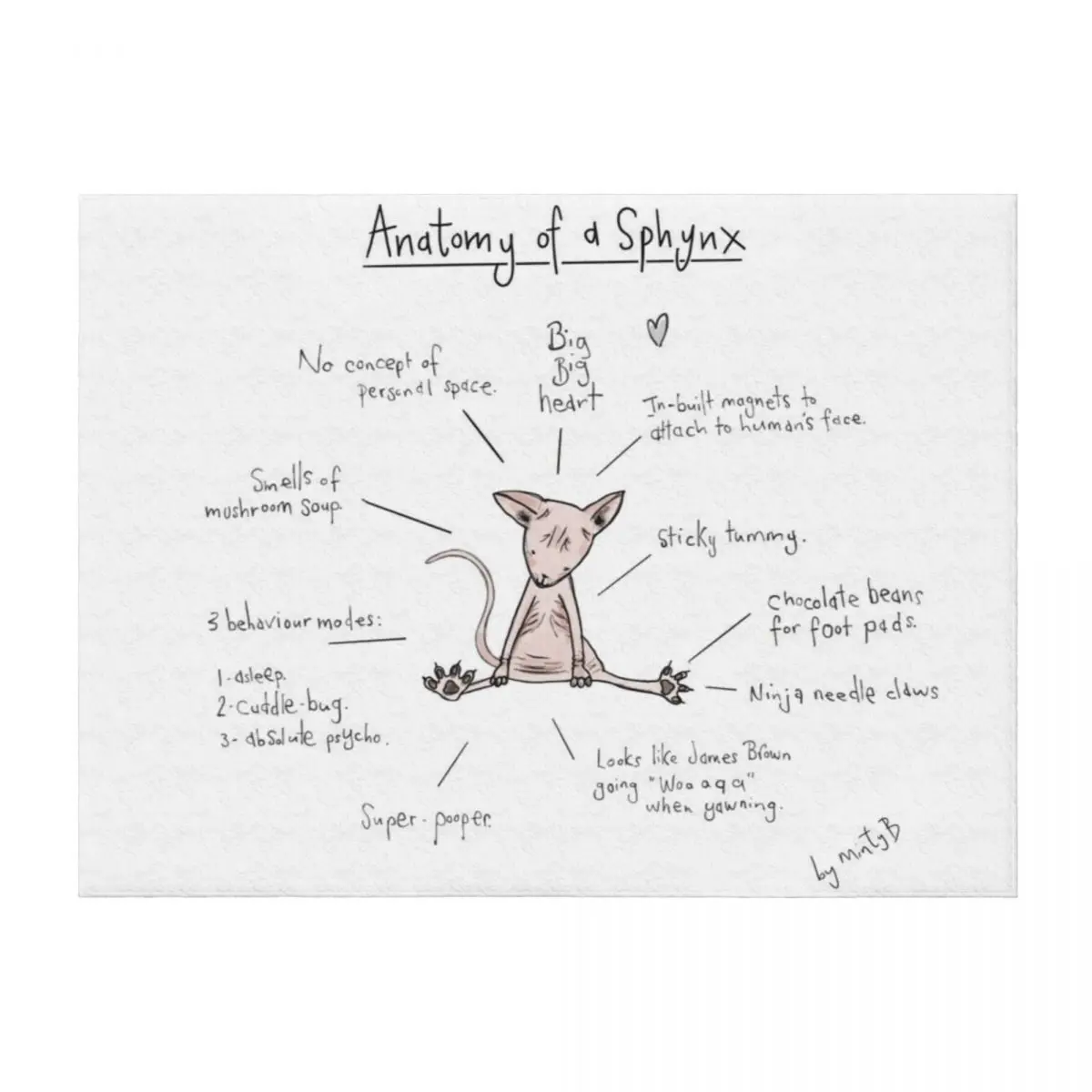 Anatomy of a Sphynx Throw Blanket Bed covers Summer Beddings Luxury St Moving Blankets