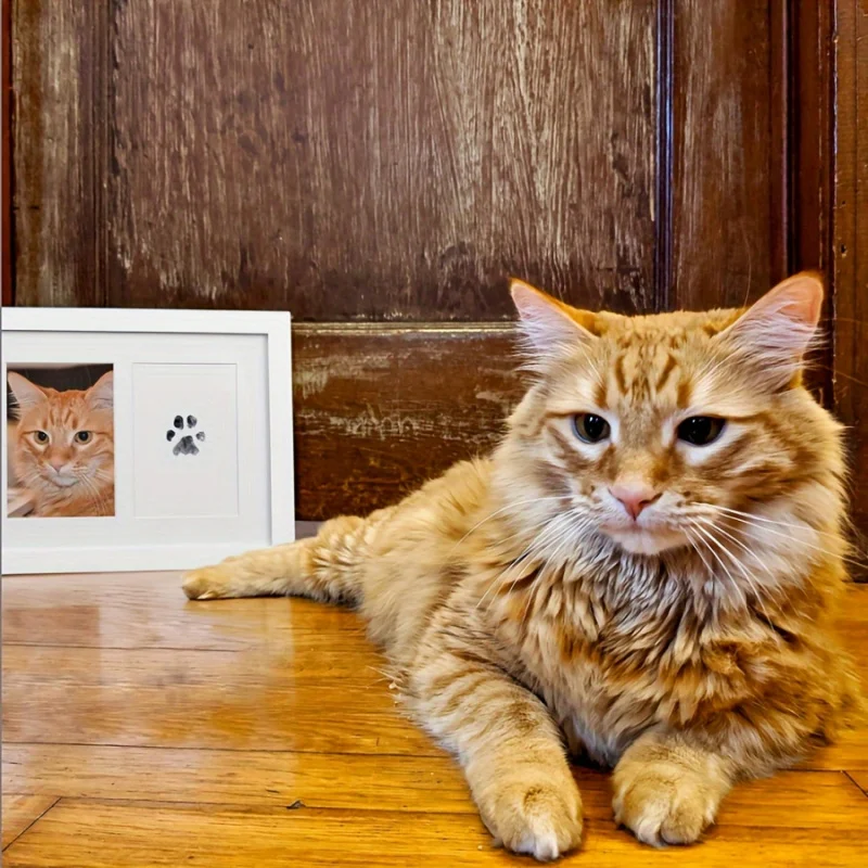 The Pet Paw Print Kit Comes With 1 An Ink Pad and 2 Halloween Baby Footprint and Handprint Card Thanksgiving and Christmas Gift