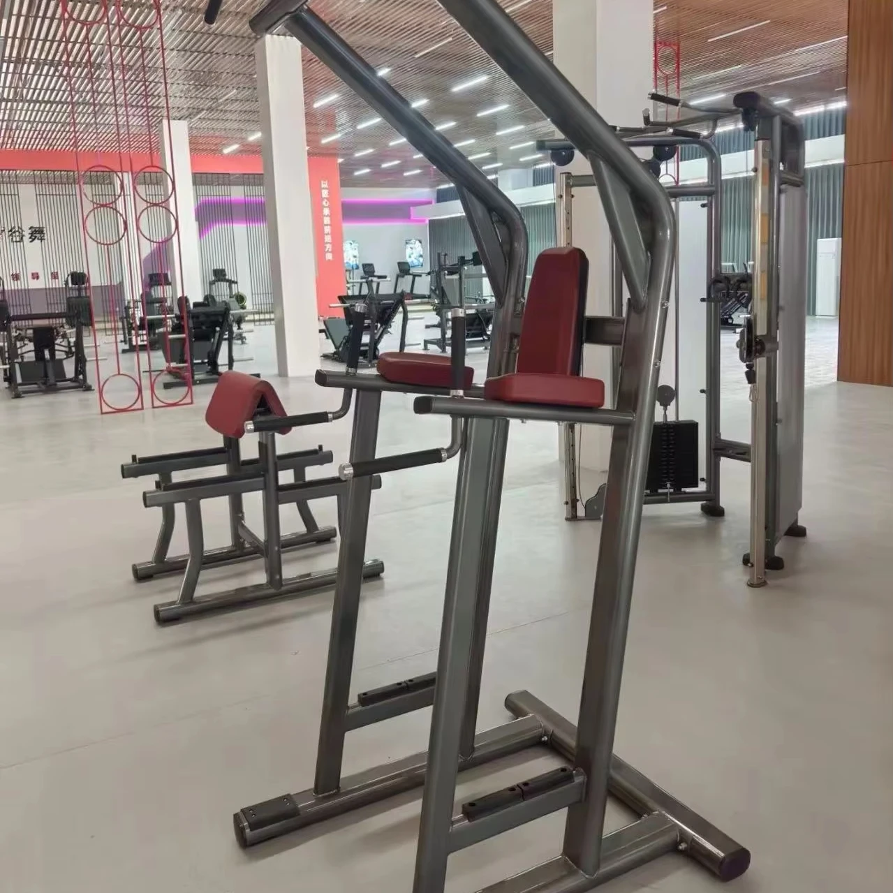 

Strong Metal Gym Fitness Machines Chin Dip and Leg Raise Station