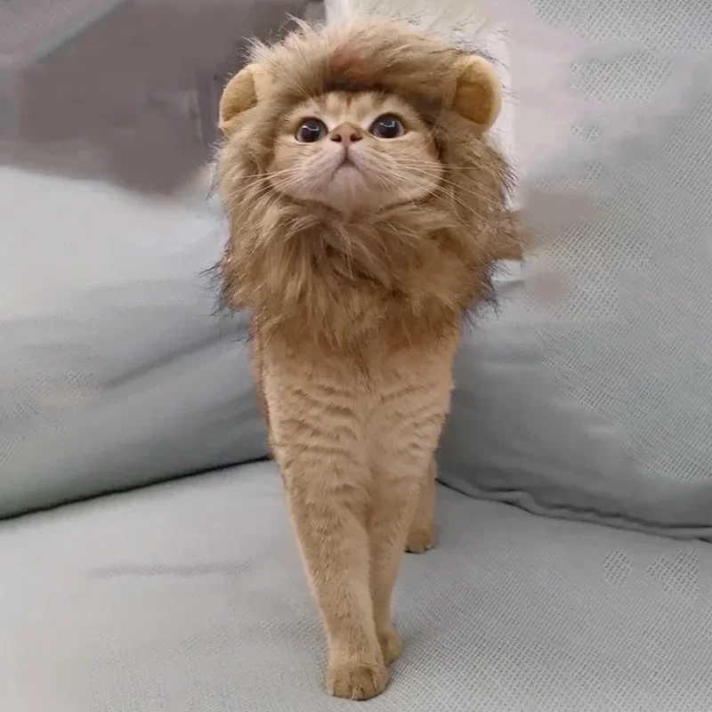 Cat Costume Cute Lion Mane Wig Hat for Cat Puppy Dog Decor Accessories Lion Kitten Cat Wig Fancy Hair Cap Halloween Pet Supplies