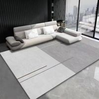 Crystal Velvet Simple Light Luxury Dirty-resistant Waterproof Non-slip Easy Care Sofa Tea Table Carpet Non-Slip Living Room Rugs