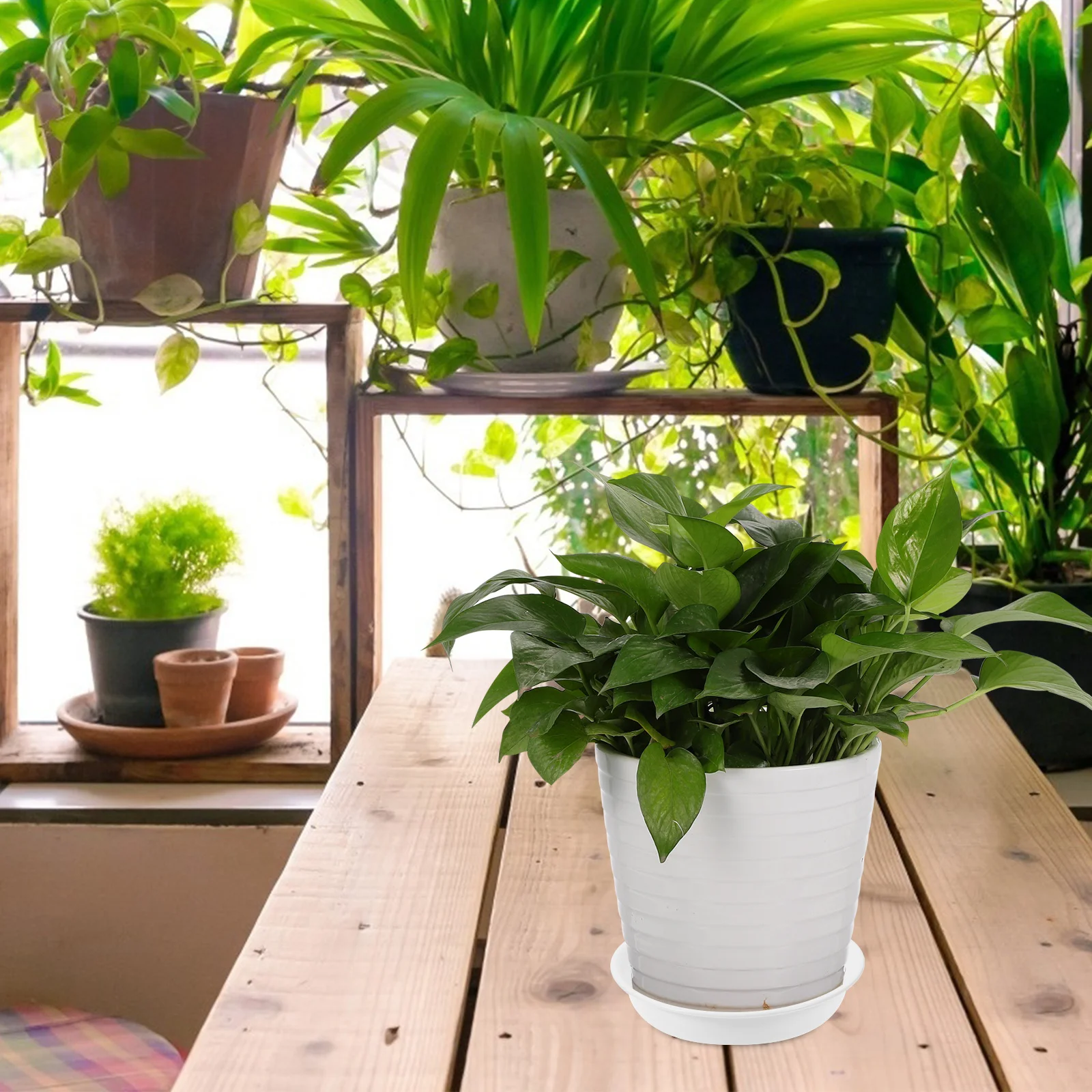 

8Pcs Plastic Flower Pot Tray Round Plant Saucer Thick Durable Drip Tray for Indoor Garden Potted Plants Plant Saucers