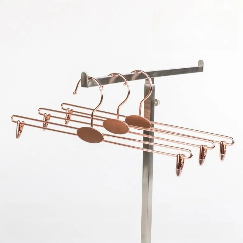 

10PCS Double Line Metal Lingerie Hanger with Extra Large Hook, Electroplated Non-Mark Clips for Shop Display & Household Use