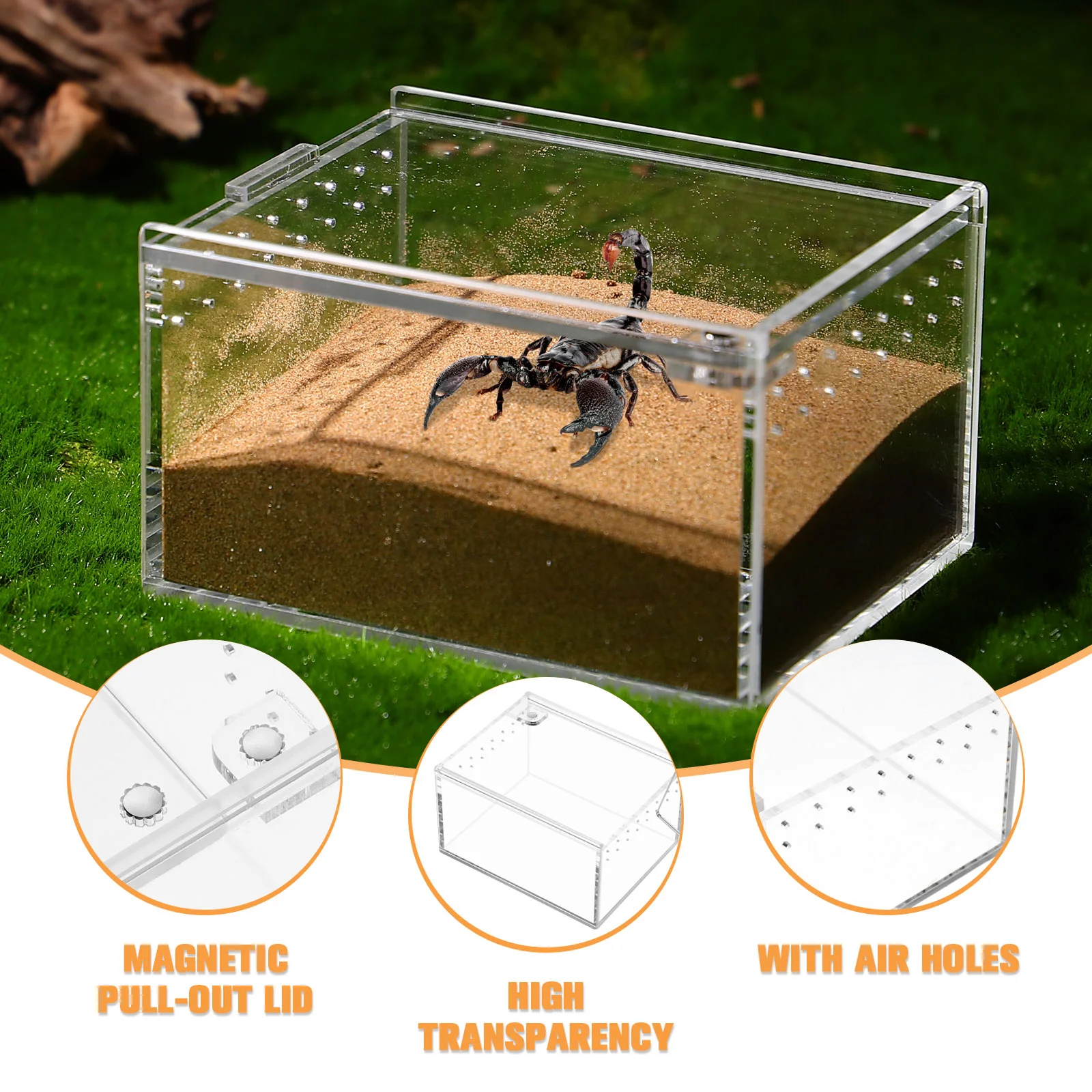 

Acrylic Crawling Pet Box Climbing Feeding Container Transparent Case for Reptile Terrarium Habitat The Animal