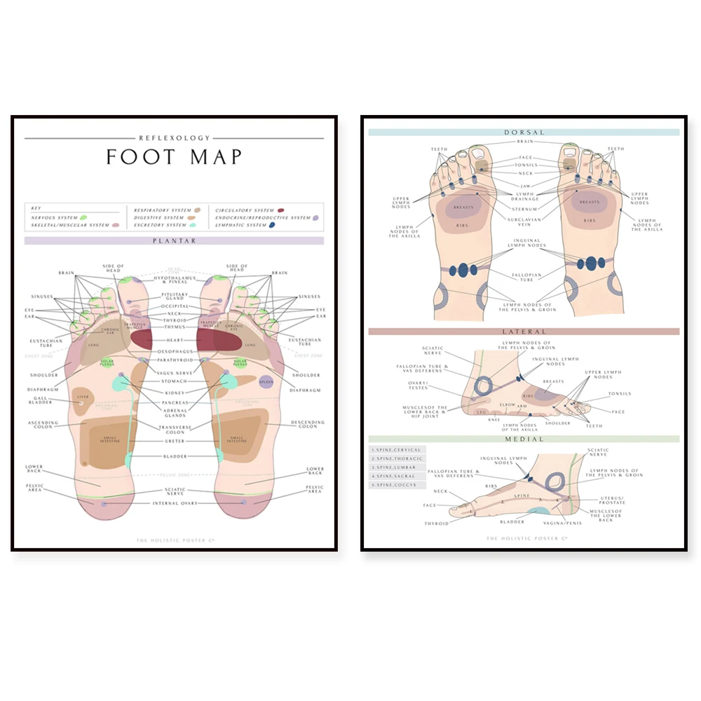 Reflexology Foot Map/Foot Chart Print Wall-art, Therapy Room Poster, Informative/Detailed Foot Map/Chart