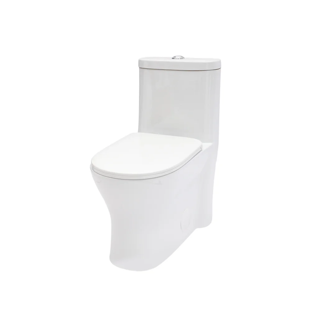 Ceramic One Piece Toilet for Bathroom, 12-inch Rough-In, 1.22/1.6 GPF, Dual Flush with Soft Clsoing Seat, Powerful Dual Flush MAP 800g