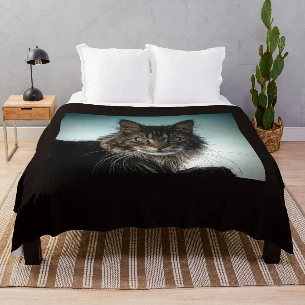 

maine coon cat Throw Blanket