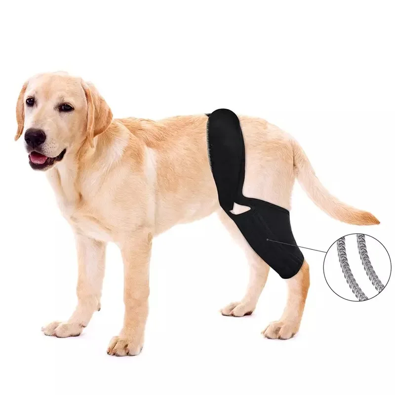 Hot-selling dog knee support gear, soft and breathable elbow stabilizer, pet joint pressure relief leg guard
