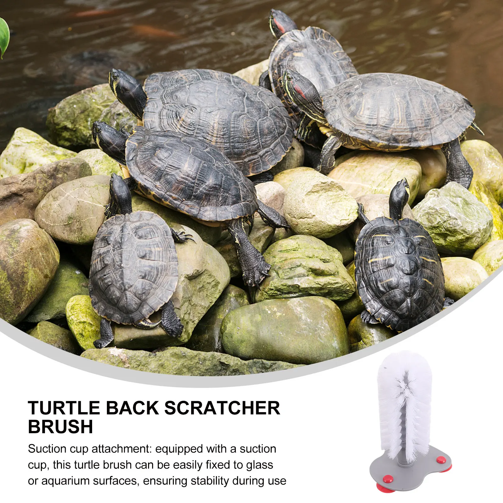 Turtle Shell Cleaning Brush Suction Cup Soft Bristles Scratch Back Cleaner Scrub Brush Turtle Tank Accessories Reptile Supplies